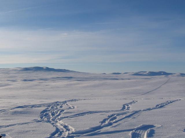 hardangervidda_winter_2006 038.jpg.jpg